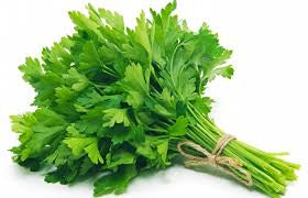 Herb, Flat Parsley, bunch