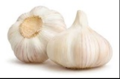 Garlic Bulb Individual 1ct