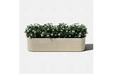 Veradek Demi Window Box Thirty-Six