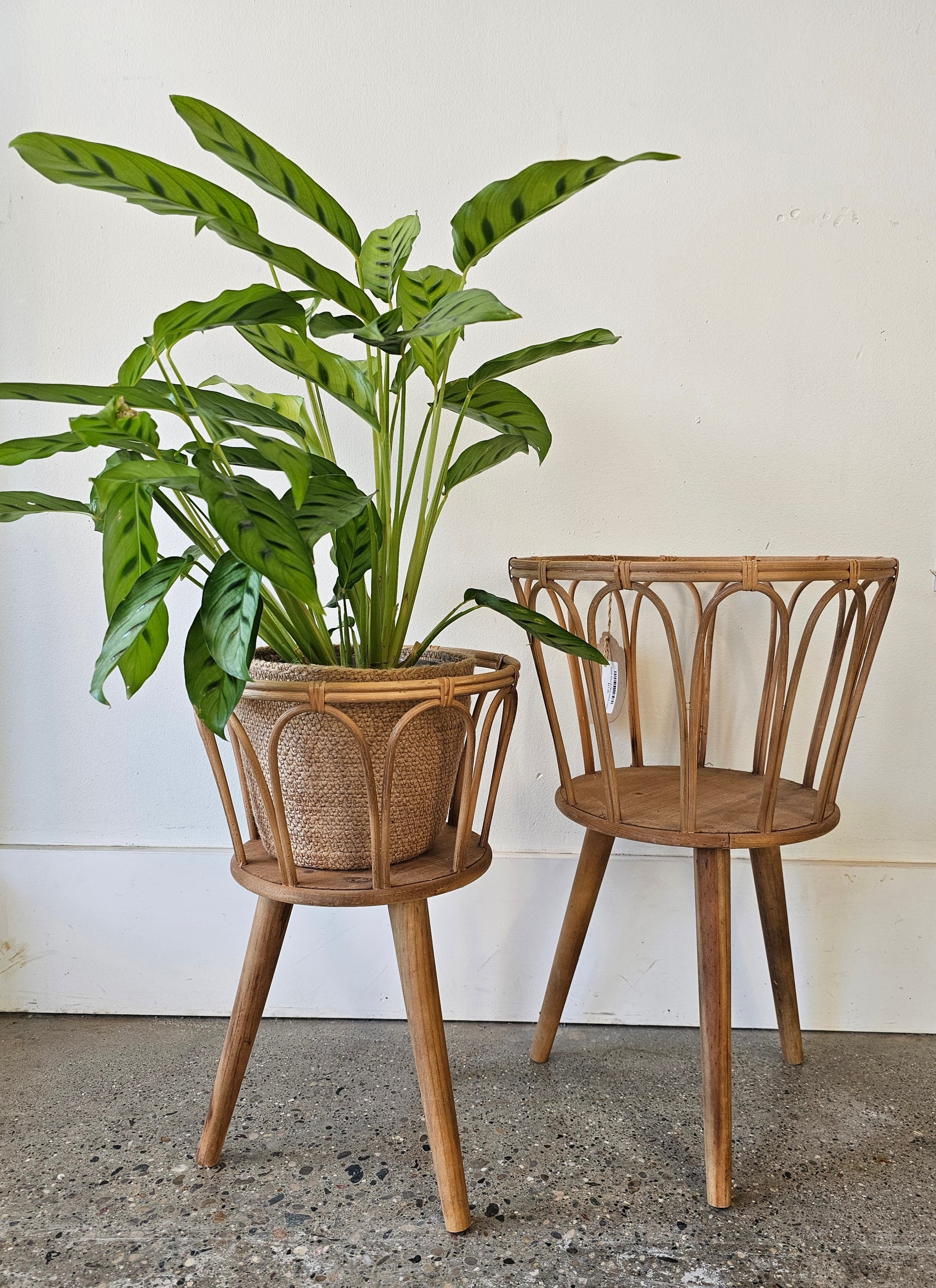 Rattan Natural Plant Stand, Small (single, plant not included)