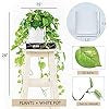 Trailing Green Pothos Artificial Plant