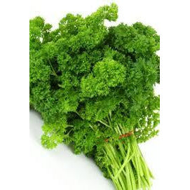 Herb Curly Parsley