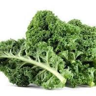 Kale, bunch