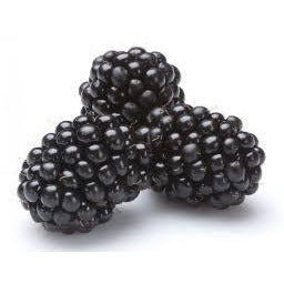 Blackberries, Fresh 6 oz