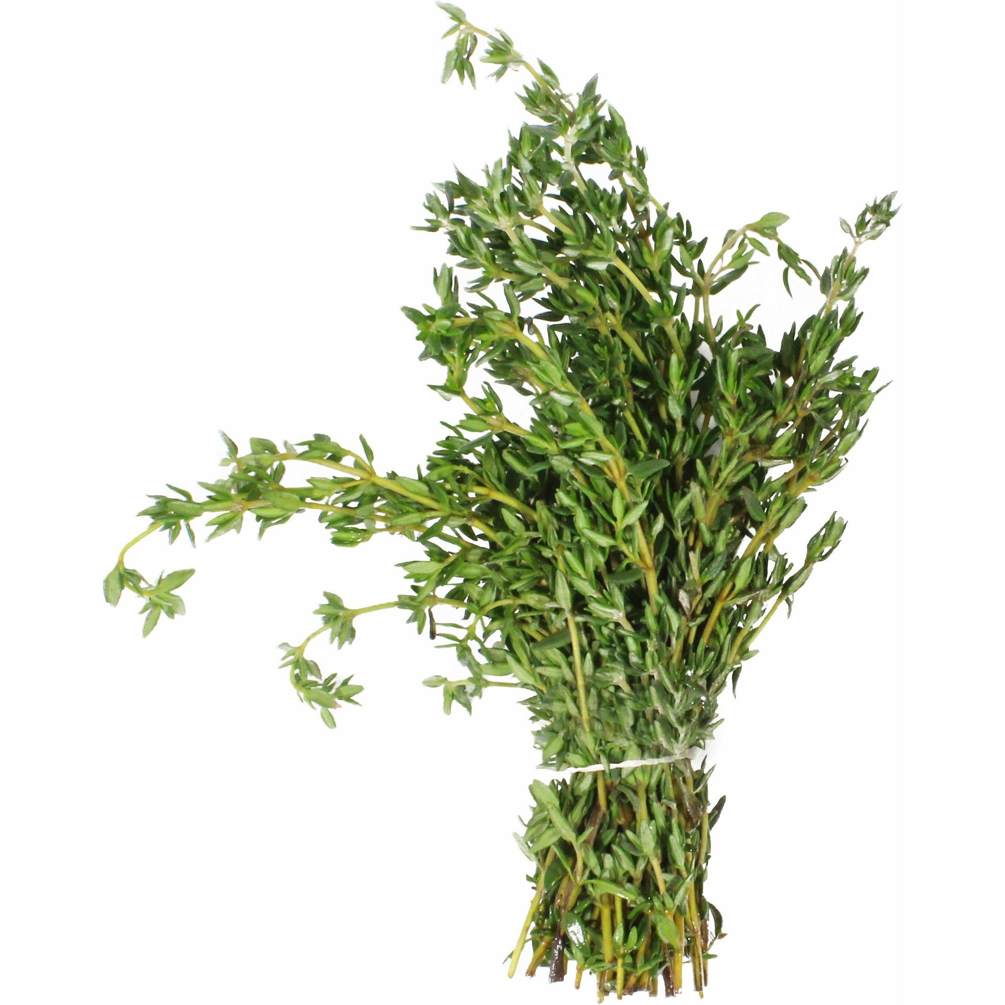 Herb, Thyme