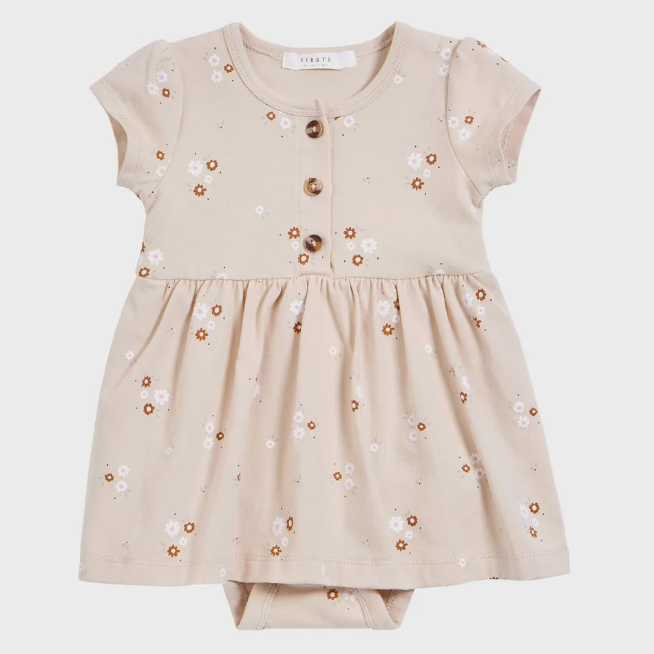 Petit Lem Firsts Floral Dress 6m