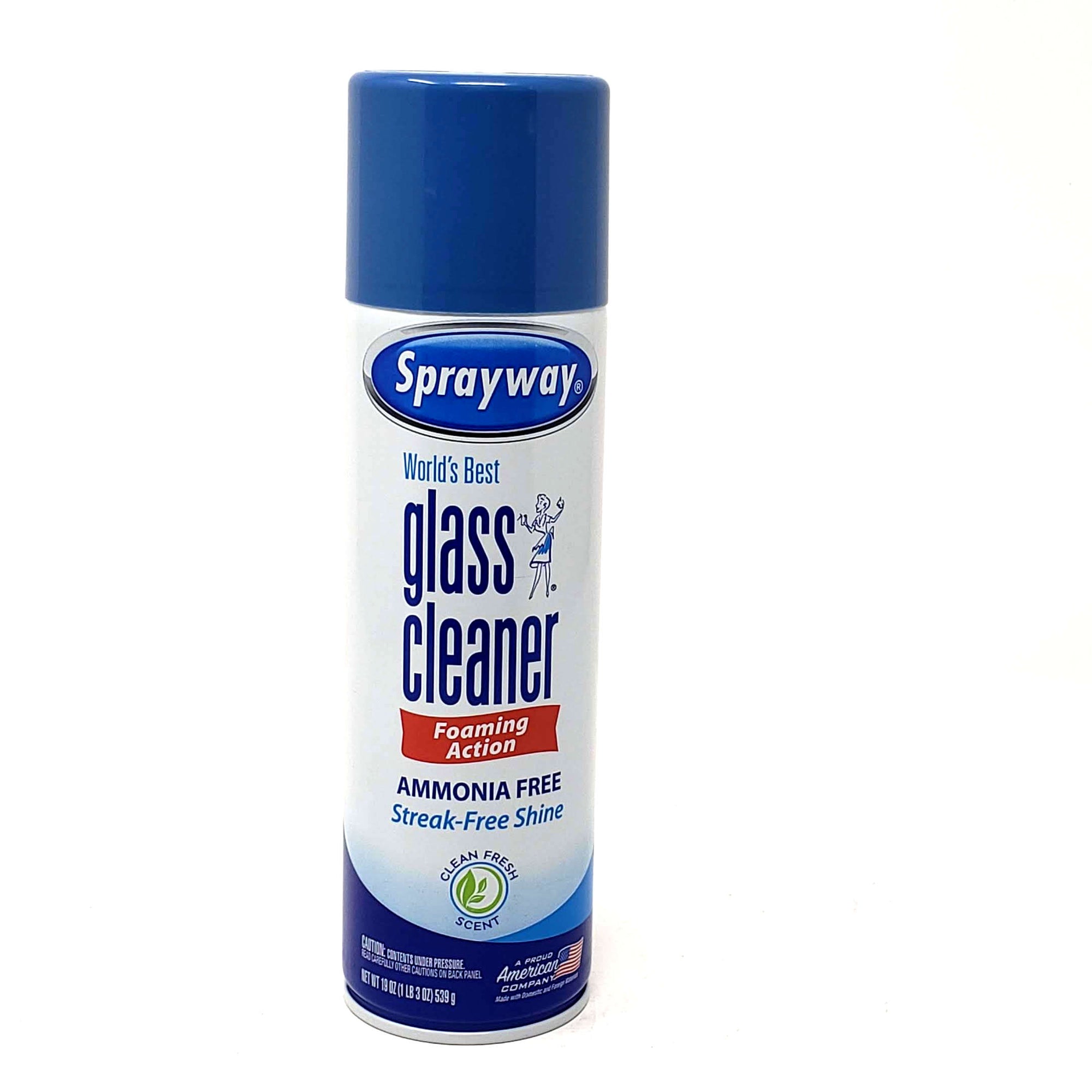 Sprayway Glass Cleaner 19oz