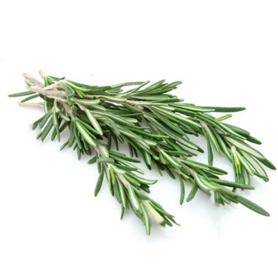 Herb, Rosemary