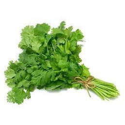 Cilantro, Herb