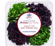 Artisan Lettuce