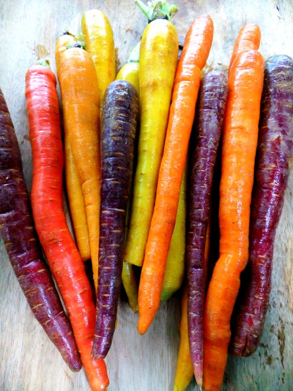 Carrots, Tri-Color, Fresh