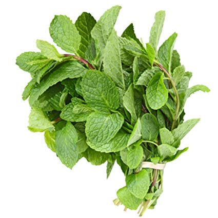 Herb, Mint