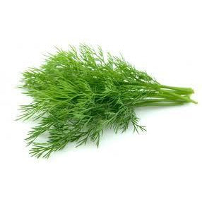 Herb, Dill